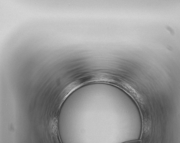 X0000115421369200912011237