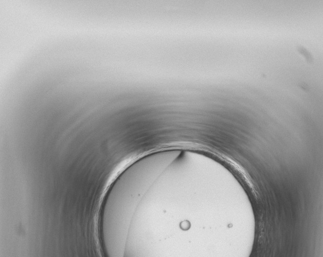 X0000115421373200912011237