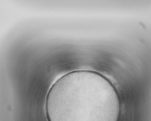 X0000115421374200912011237