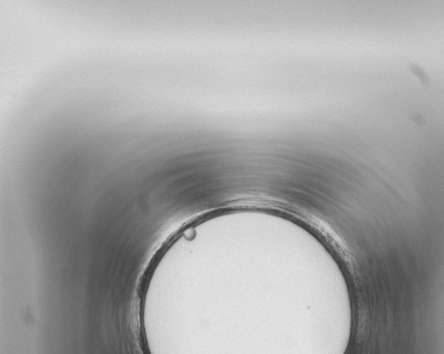 X0000115421376200912011237