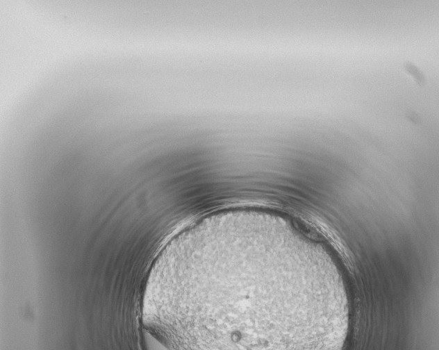 X0000115421377200912011237