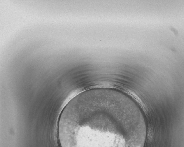 X0000115421378200912011237