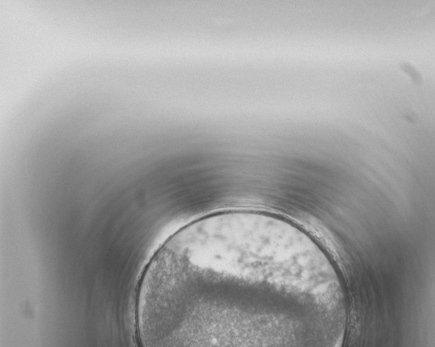 X0000115421382200912011237