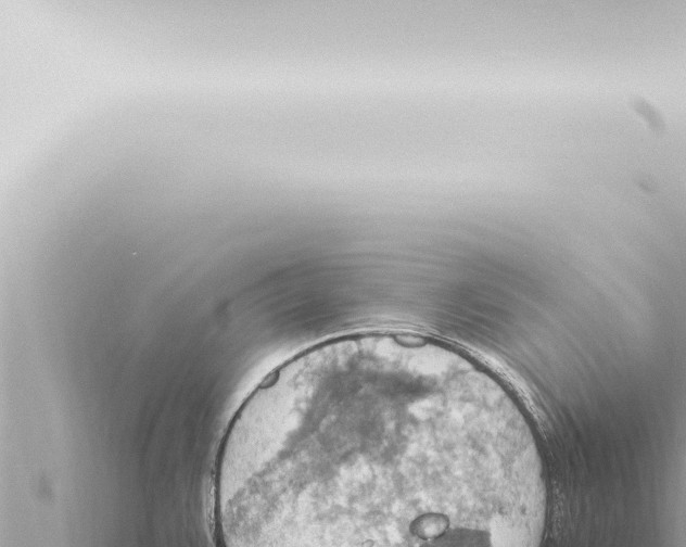 X0000115421383200912011237