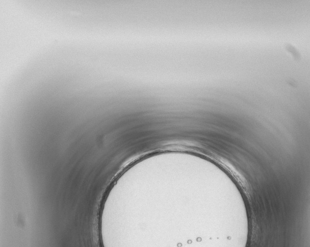 X0000115421384200912011237