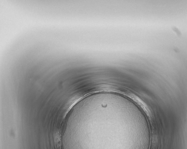 X0000115421385200912011237