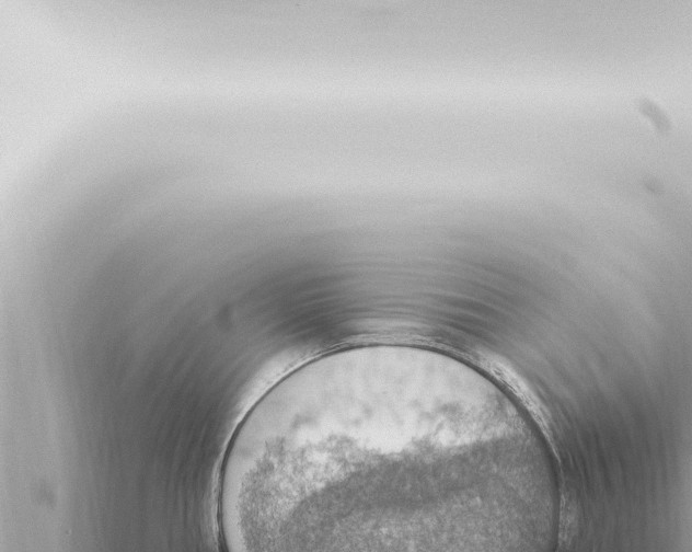 X0000115421386200912011237