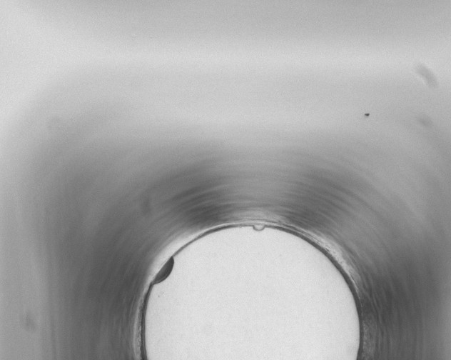 X0000115421387200912011237