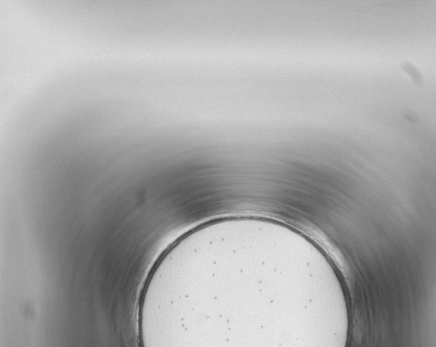 X0000115421388200912011237