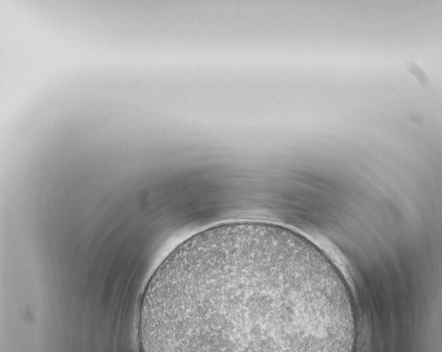 X0000115421390200912011237