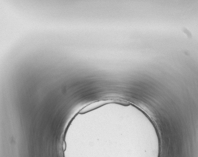 X0000115421392200912011237