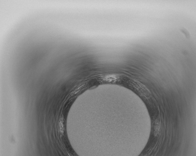 X0000115421394200912011236