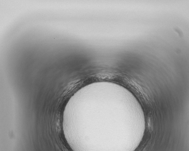 X0000115421396200912011236