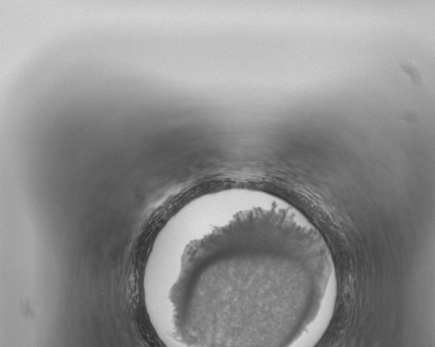 X0000115421398200912011236