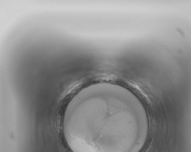 X0000115421399200912011236