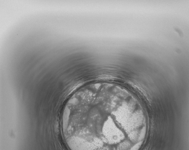 X0000115421401200912011236