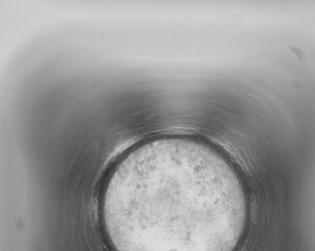 X0000115421402200912011236