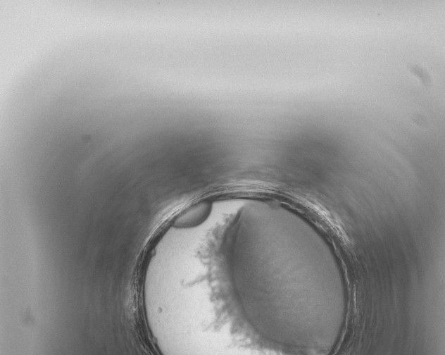 X0000115421405200912011236