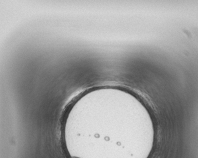 X0000115421406200912011236