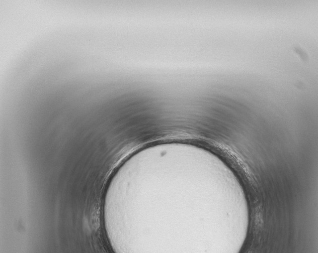 X0000115421409200912011236