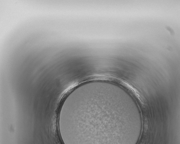 X0000115421411200912011236