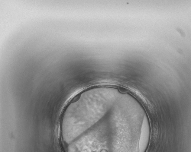 X0000115421413200912011237