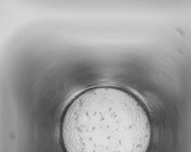 X0000115421415200912011237