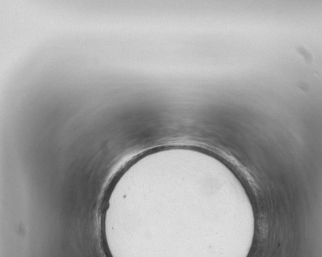 X0000115421416200912011237