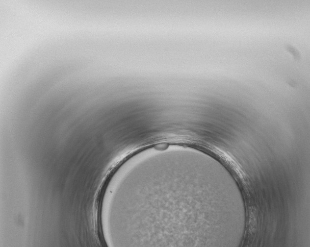 X0000115421419200912011237