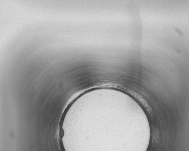 X0000115421420200912011237