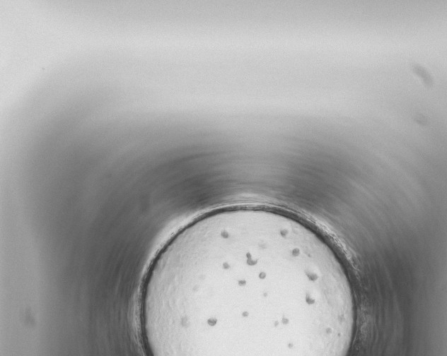 X0000115421421200912011237