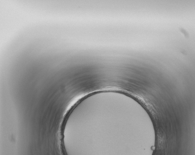 X0000115421422200912011237