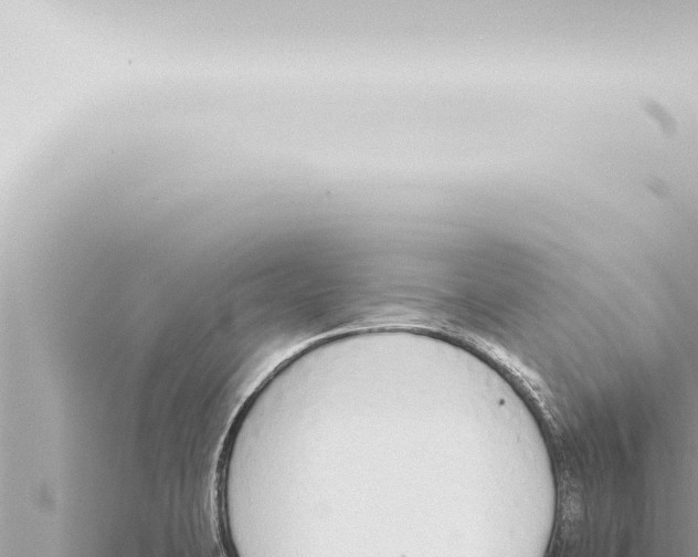 X0000115421423200912011237