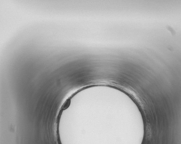 X0000115421424200912011237