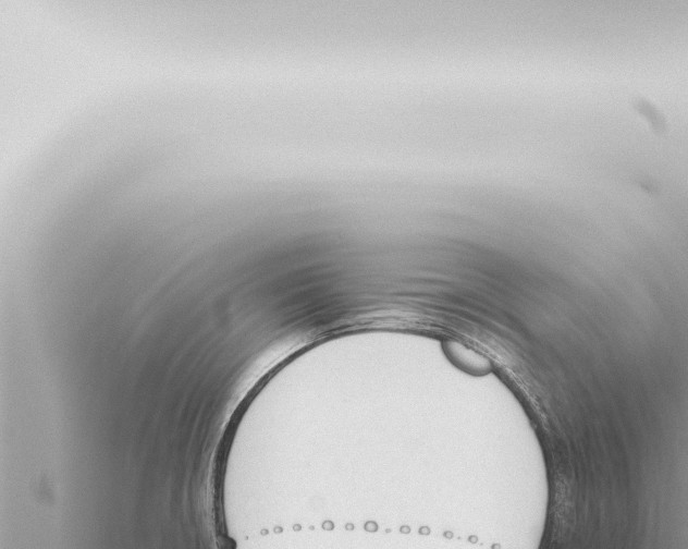 X0000115421426200912011237