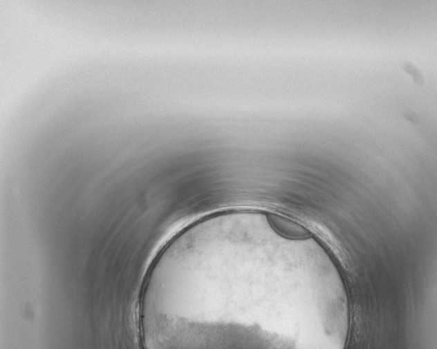 X0000115421428200912011237