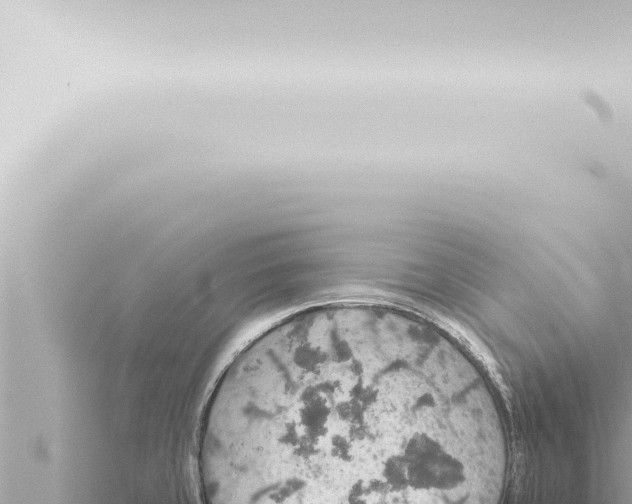 X0000115421429200912011237