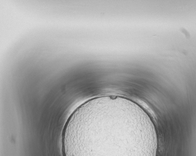 X0000115421431200912011237