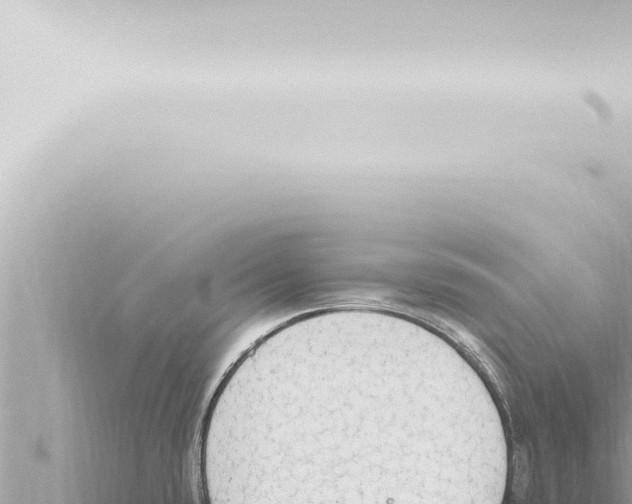 X0000115421432200912011237