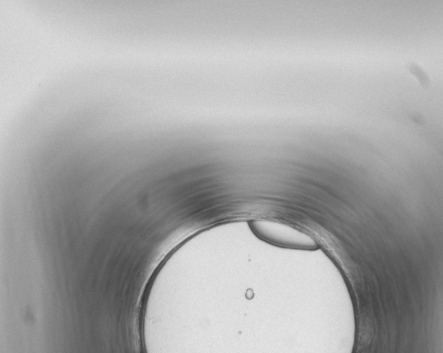 X0000115421434200912011237