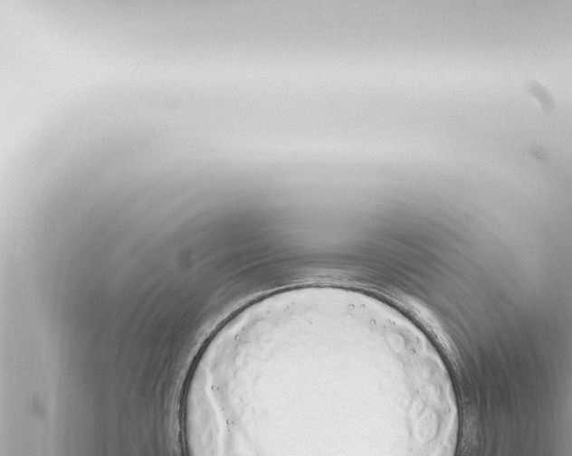 X0000115421435200912011237