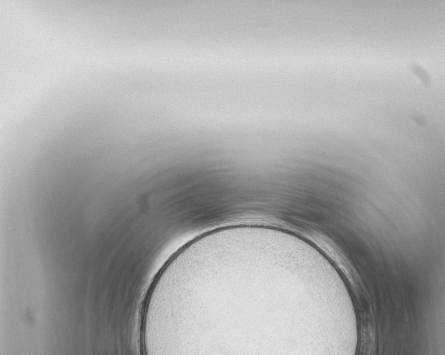 X0000115421438200912011237