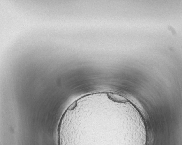 X0000115421439200912011237