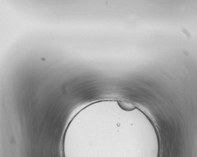 X0000115421440200912011237