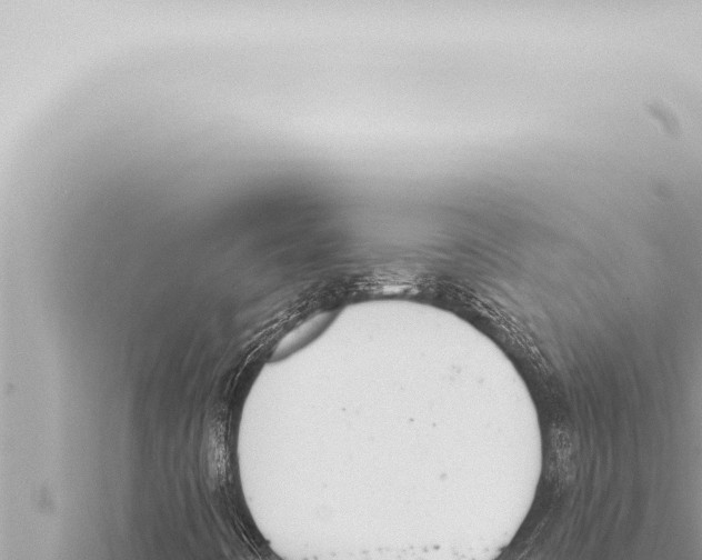 X0000115421442200912011236