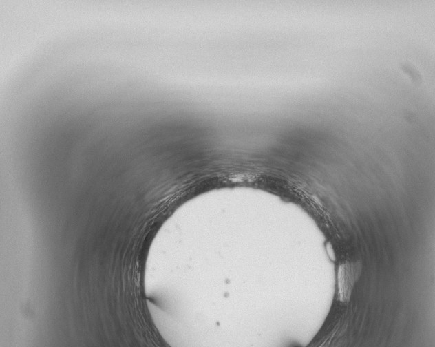 X0000115421443200912011236