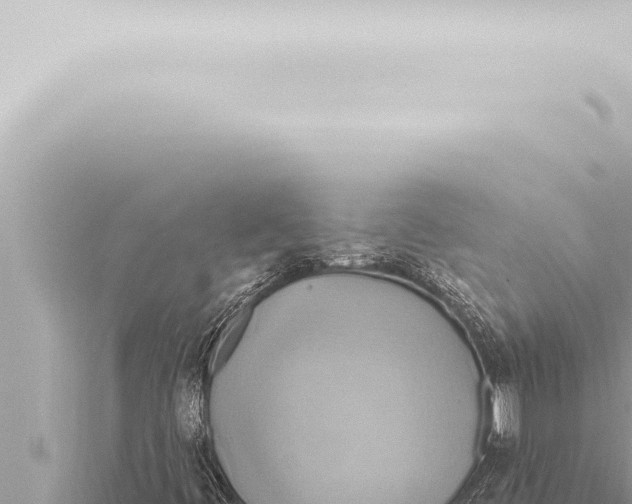 X0000115421444200912011236