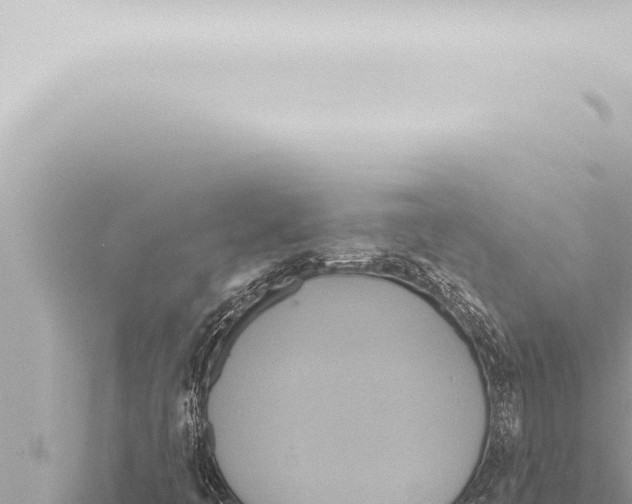 X0000115421445200912011236