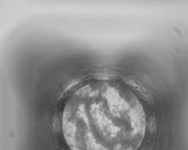 X0000115421446200912011236