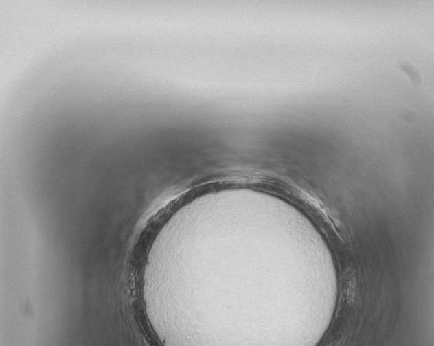 X0000115421448200912011236